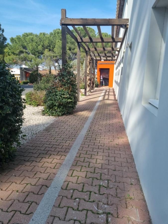 Ace Travel - A9 Montpellier Sud